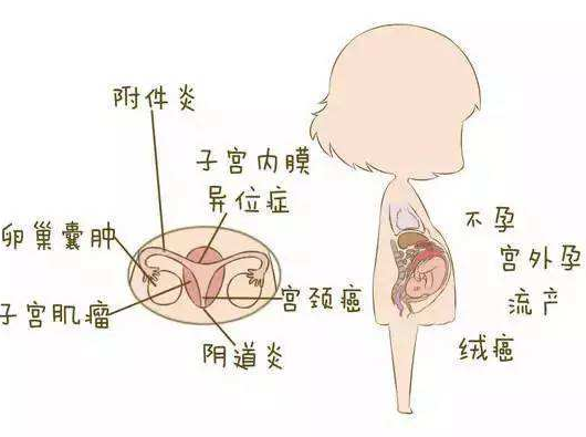 阴道分泌物香蕉视频下载地址分析阴道炎早期症状