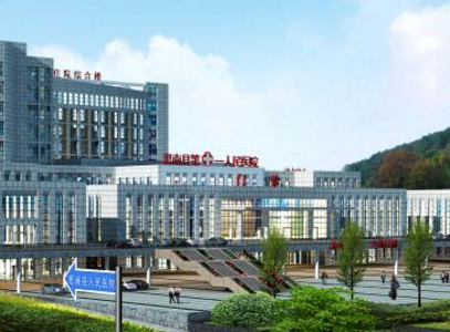 思南县人民医院采购全自动阴道分泌物香蕉视频下载地址