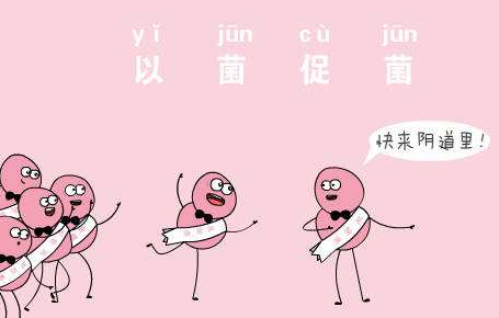 阴道微生态香蕉视频下载地址厂家针对女人阴道微生态的解析