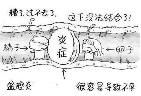 全自动妇科阴道分泌物91香蕉视频色检测辨别妇科炎症复杂多样！